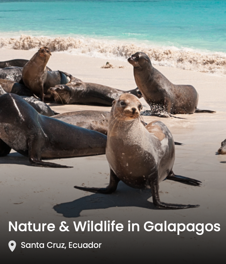 Galapagos Islands Trip