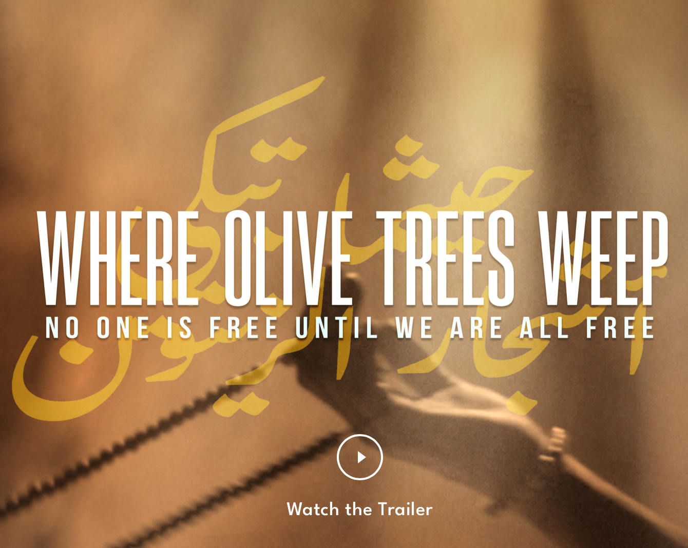 Where Olive Trees Weep