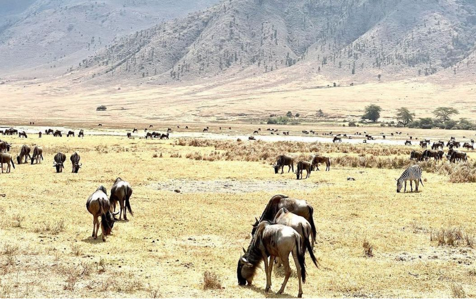 Ngorongoro Crater